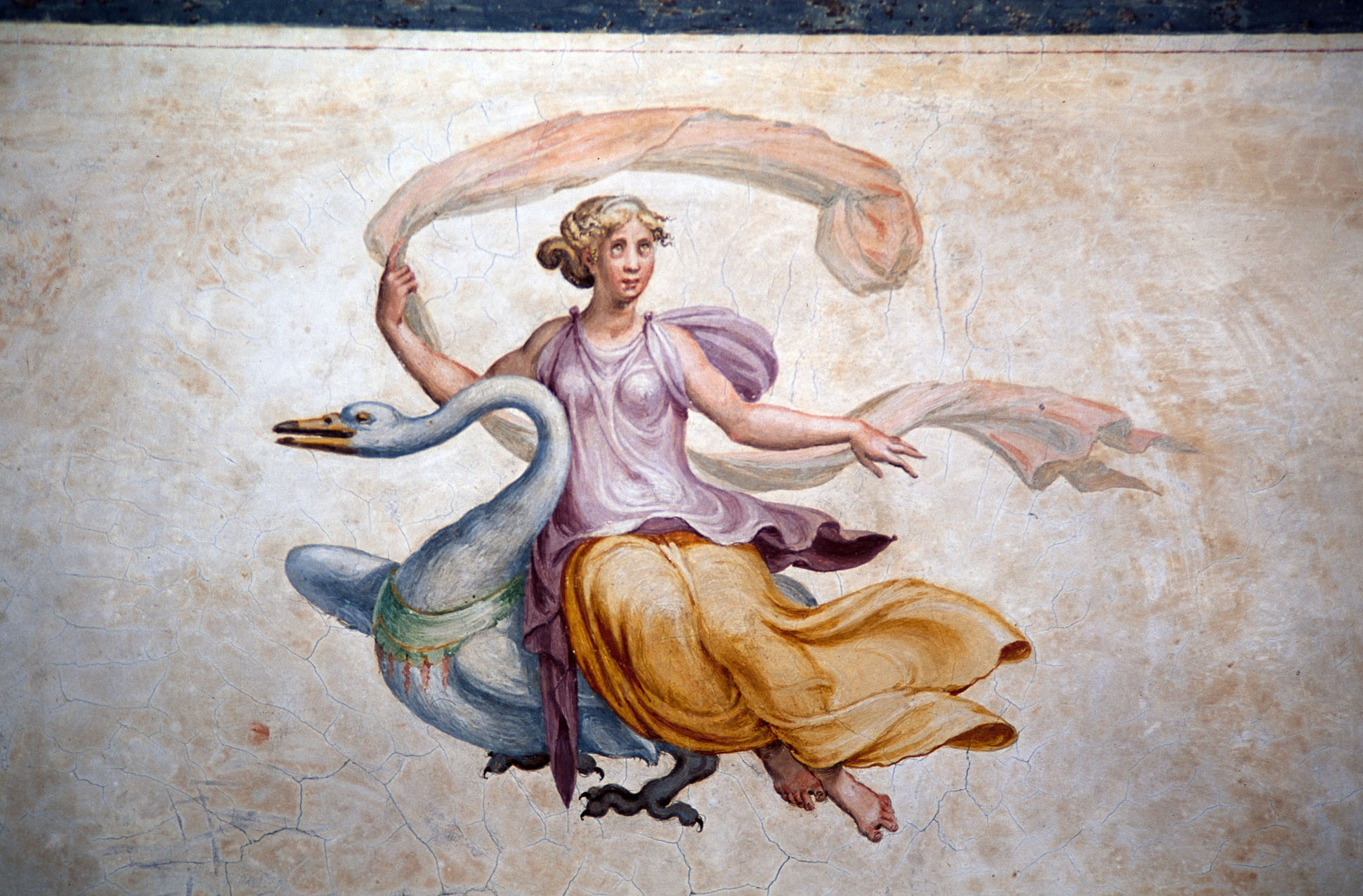 grottesche (dipinto murale, ciclo) di Rietti Domenico da Figline detto Zaga, Bonaccorsi Pietro detto Perin del Vaga (sec. XVI) 