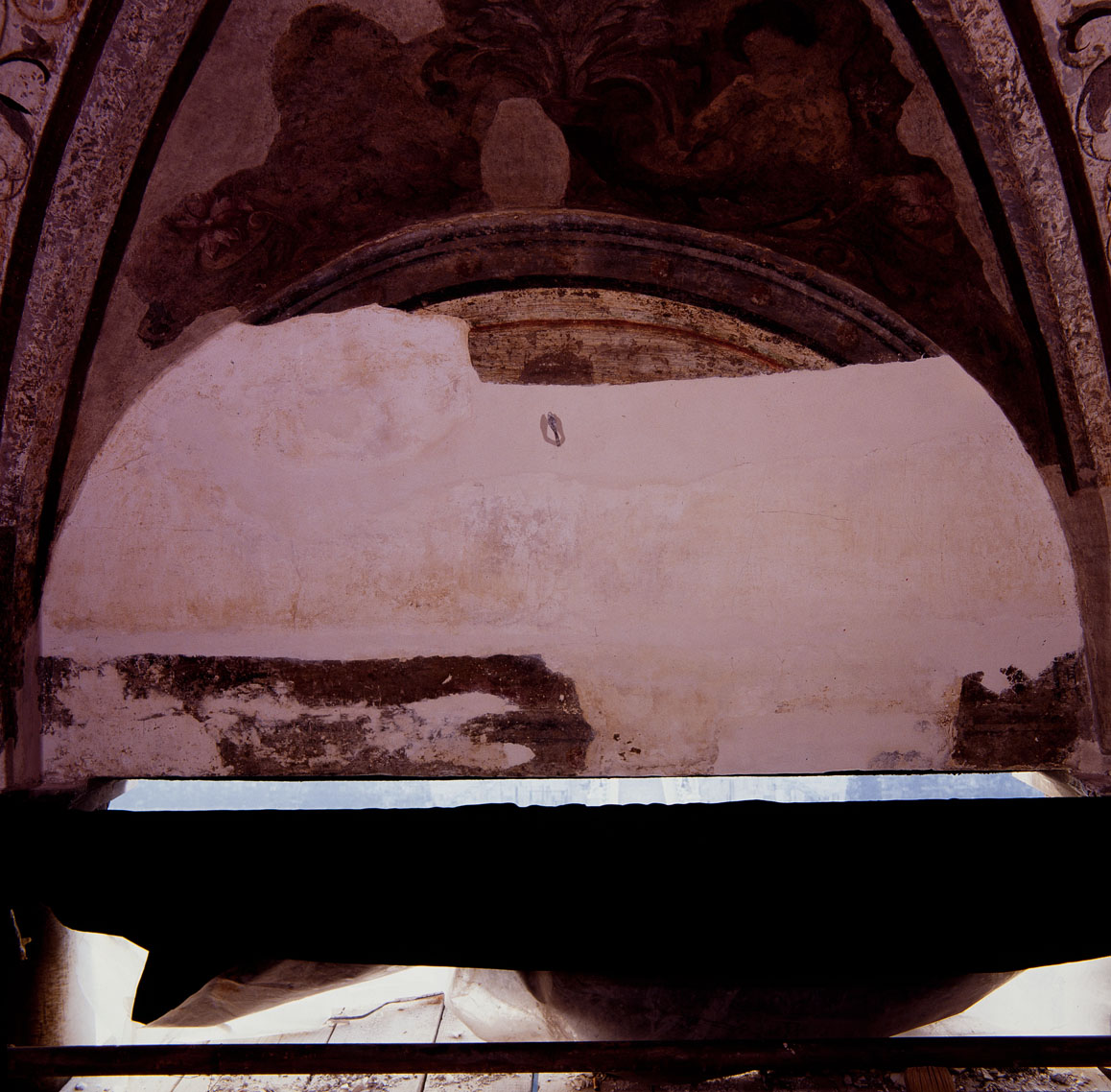 motivi decorativi a grottesche (decorazione plastico-pittorica, complesso decorativo) di del Becca Michele da Imola, Piermatteo di Manfredi detto Piermatteo d'Amelia (sec. XVI)