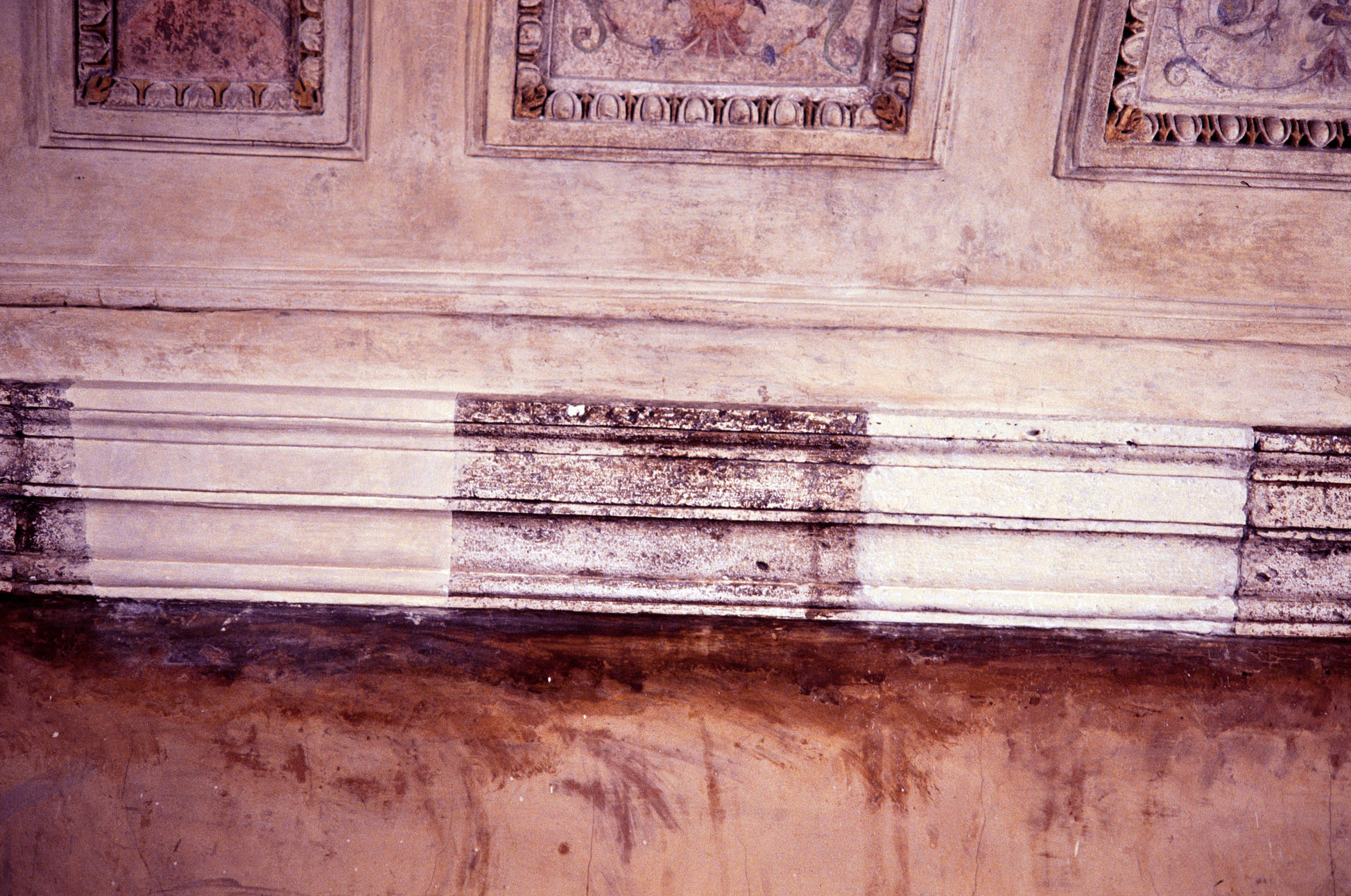 motivi decorativi a grottesche (decorazione plastico-pittorica, complesso decorativo) di Siciolante Girolamo (sec. XVI)