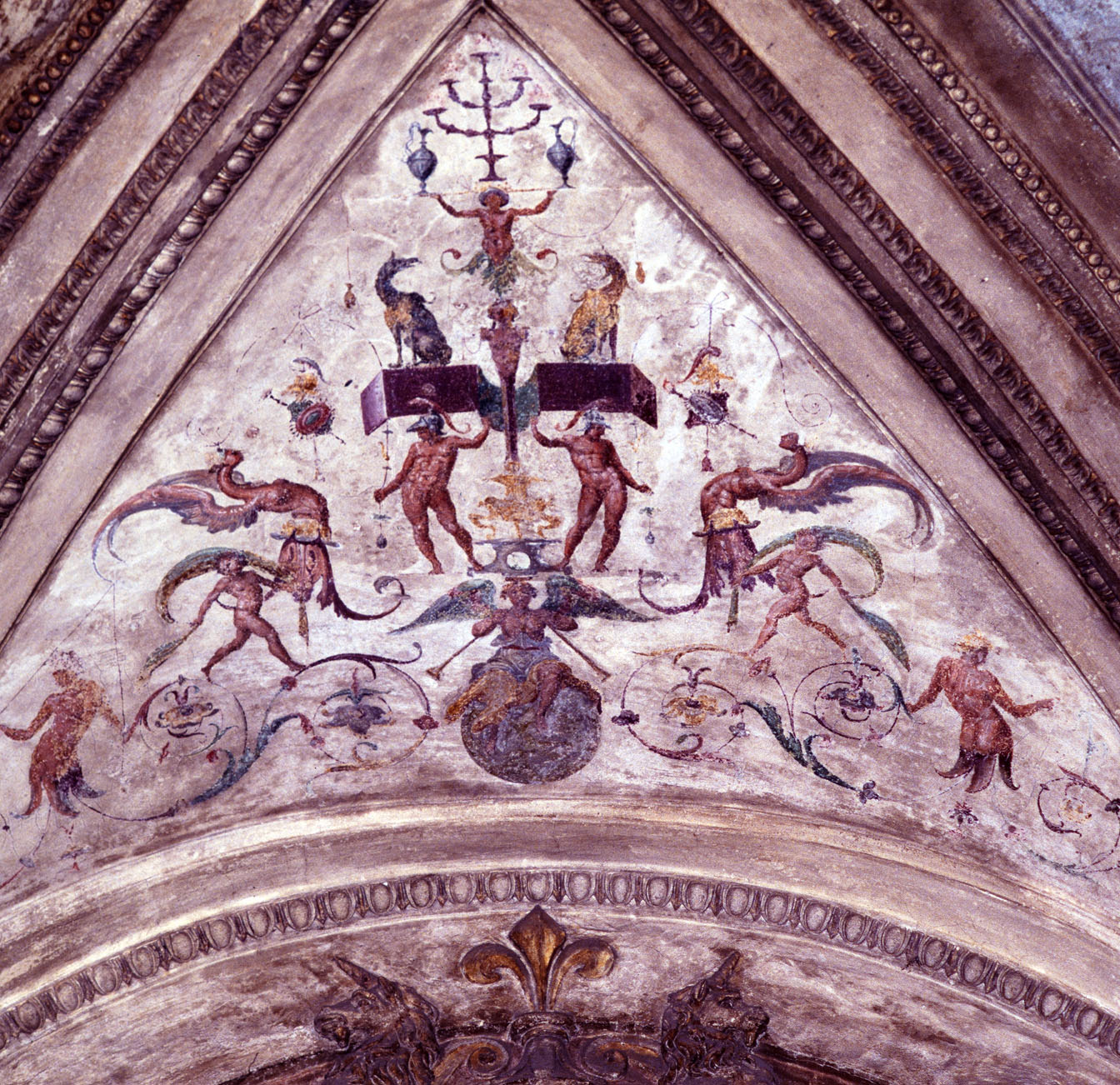 motivi decorativi a grottesche (decorazione plastico-pittorica) di Siciolante Girolamo (sec. XVI)