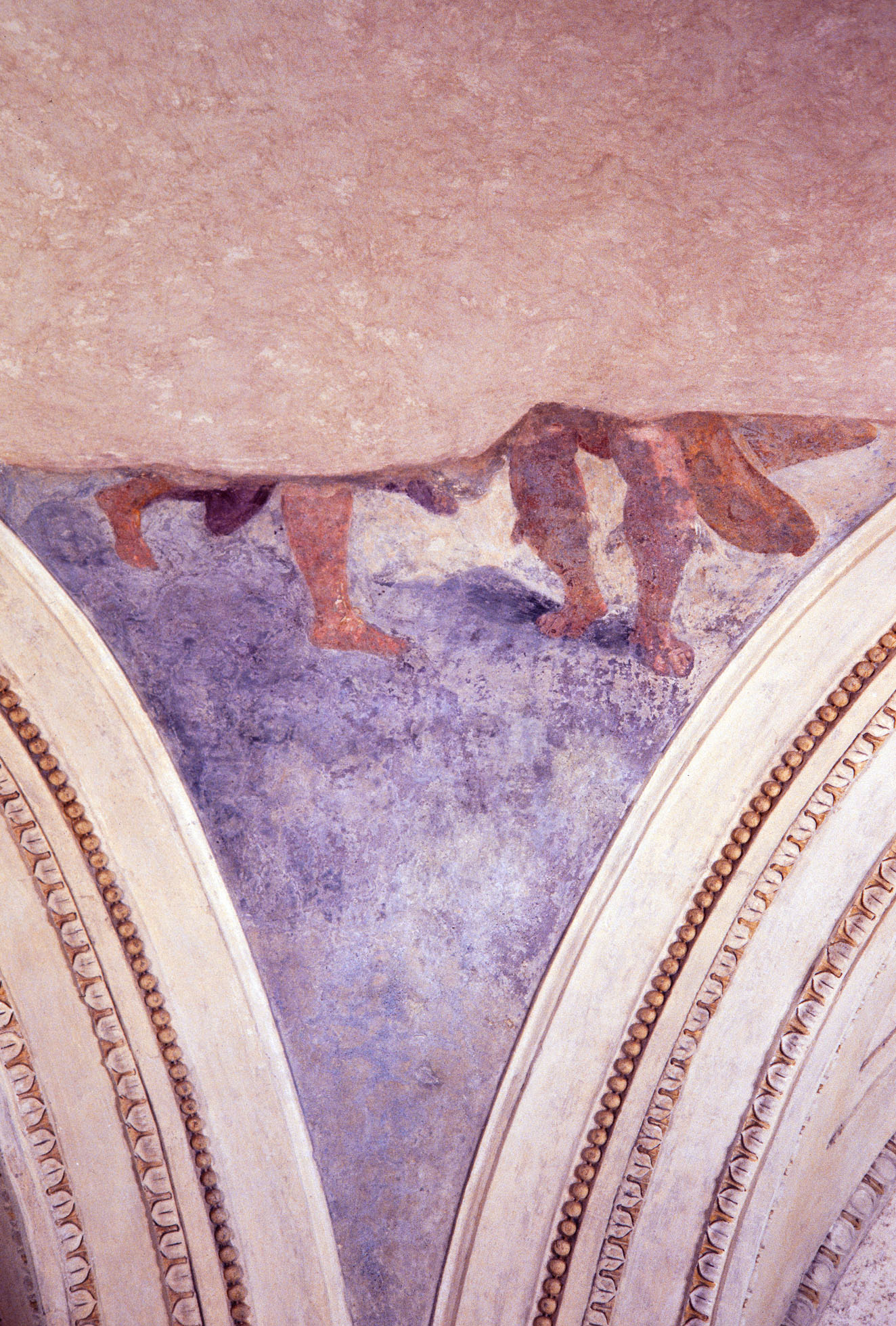 episodi della vita dell'imperatore Adriano (decorazione plastico-pittorica) di Siciolante Girolamo (sec. XVI)