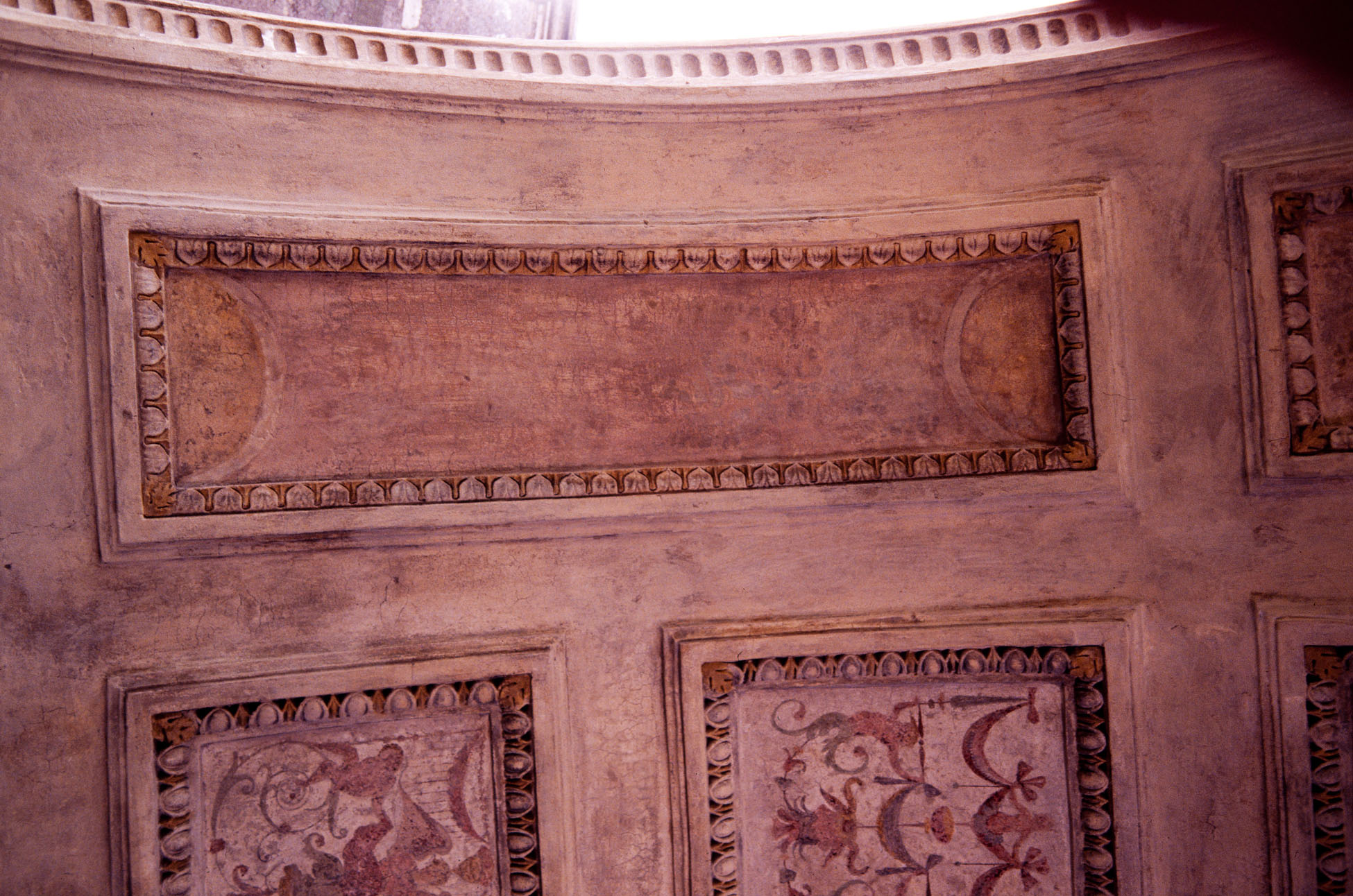 motivi decorativi a grottesche (decorazione plastico-pittorica, complesso decorativo) di Siciolante Girolamo (sec. XVI) 