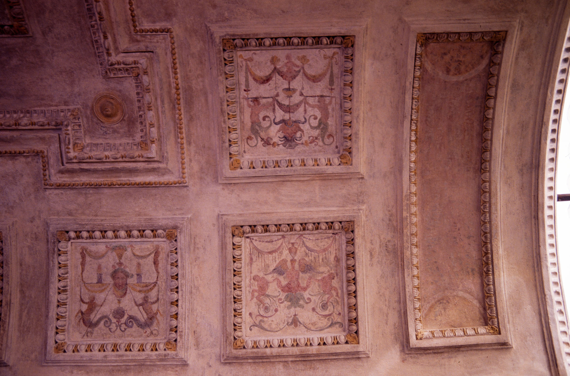 motivi decorativi a grottesche (decorazione plastico-pittorica, complesso decorativo) di Siciolante Girolamo (sec. XVI) 