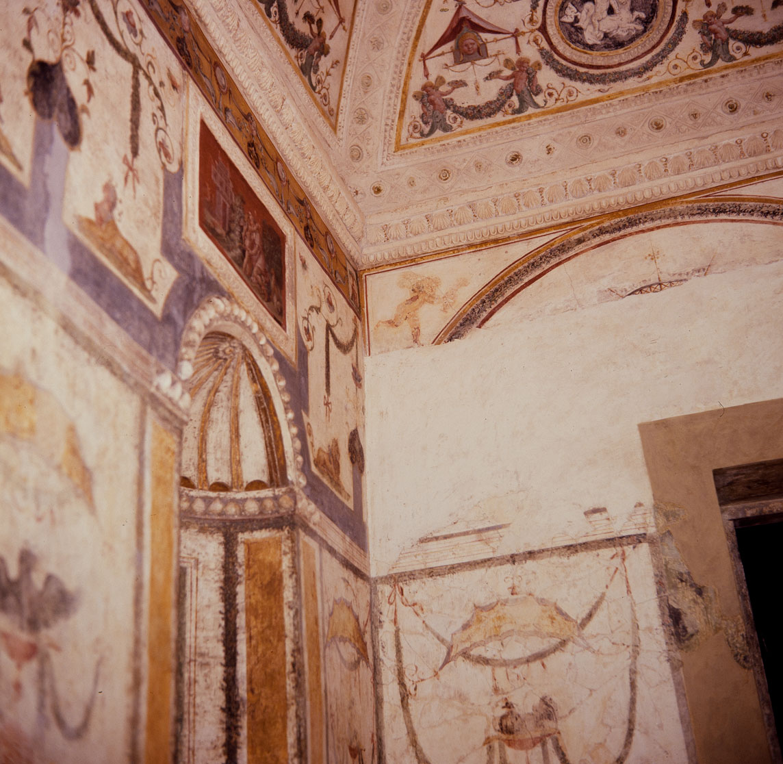 motivi decorativi a grottesche (decorazione plastico-pittorica, complesso decorativo) di Giovanni da Udine detto Giovanni Ricamatore, Pippi Giulio detto Giulio Romano (sec. XVI) 