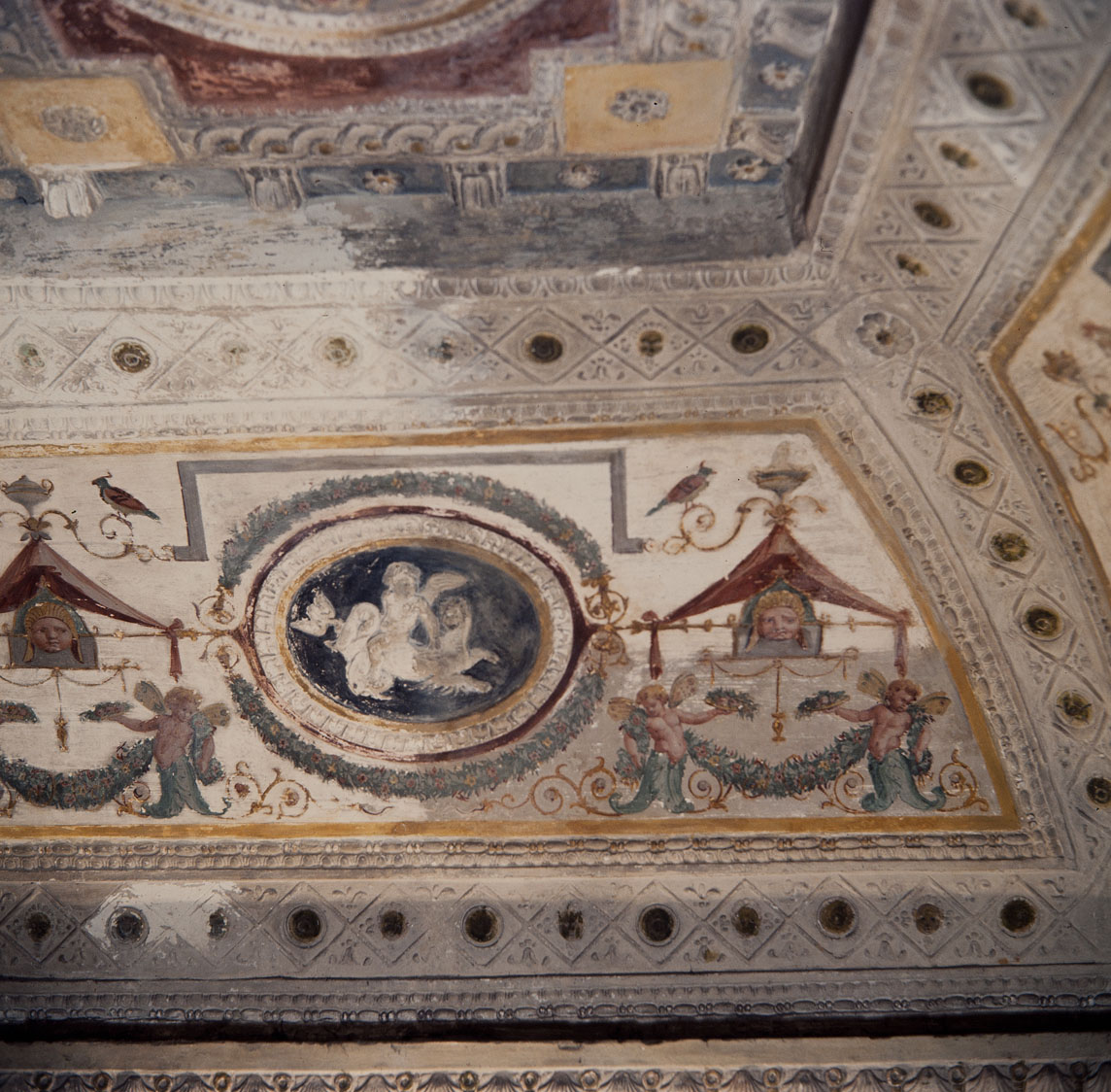 Amorini con animali marini (decorazione plastica, serie) di Pippi Giulio detto Giulio Romano, Giovanni da Udine detto Giovanni Ricamatore (sec. XVI)