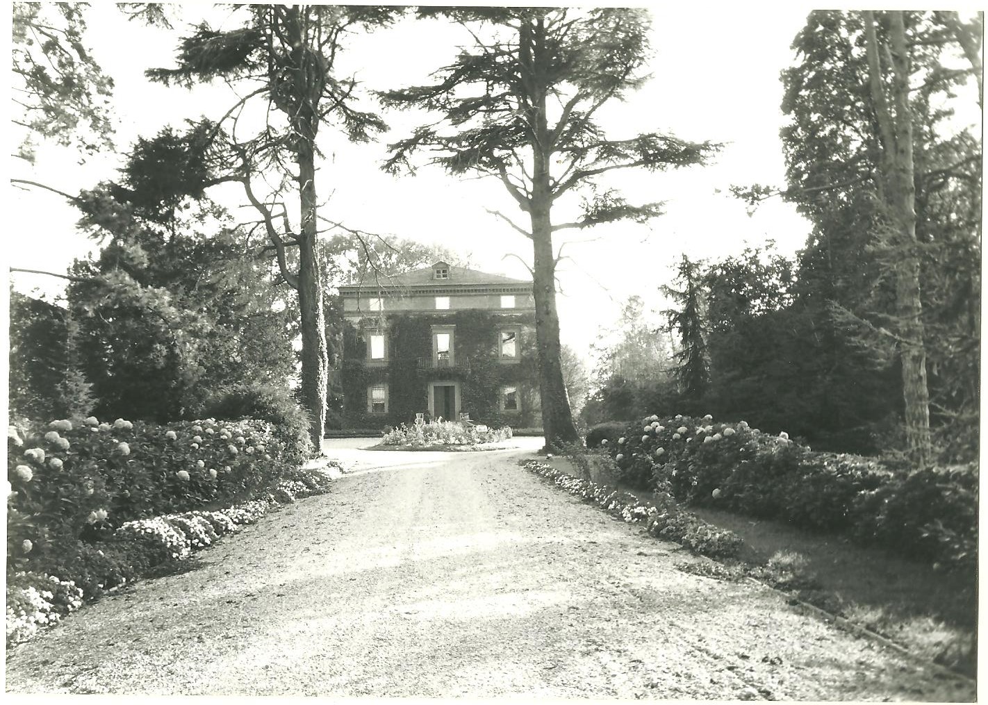 Villa Lucca Manfredi (villa, civile) - Alseno (PC) 