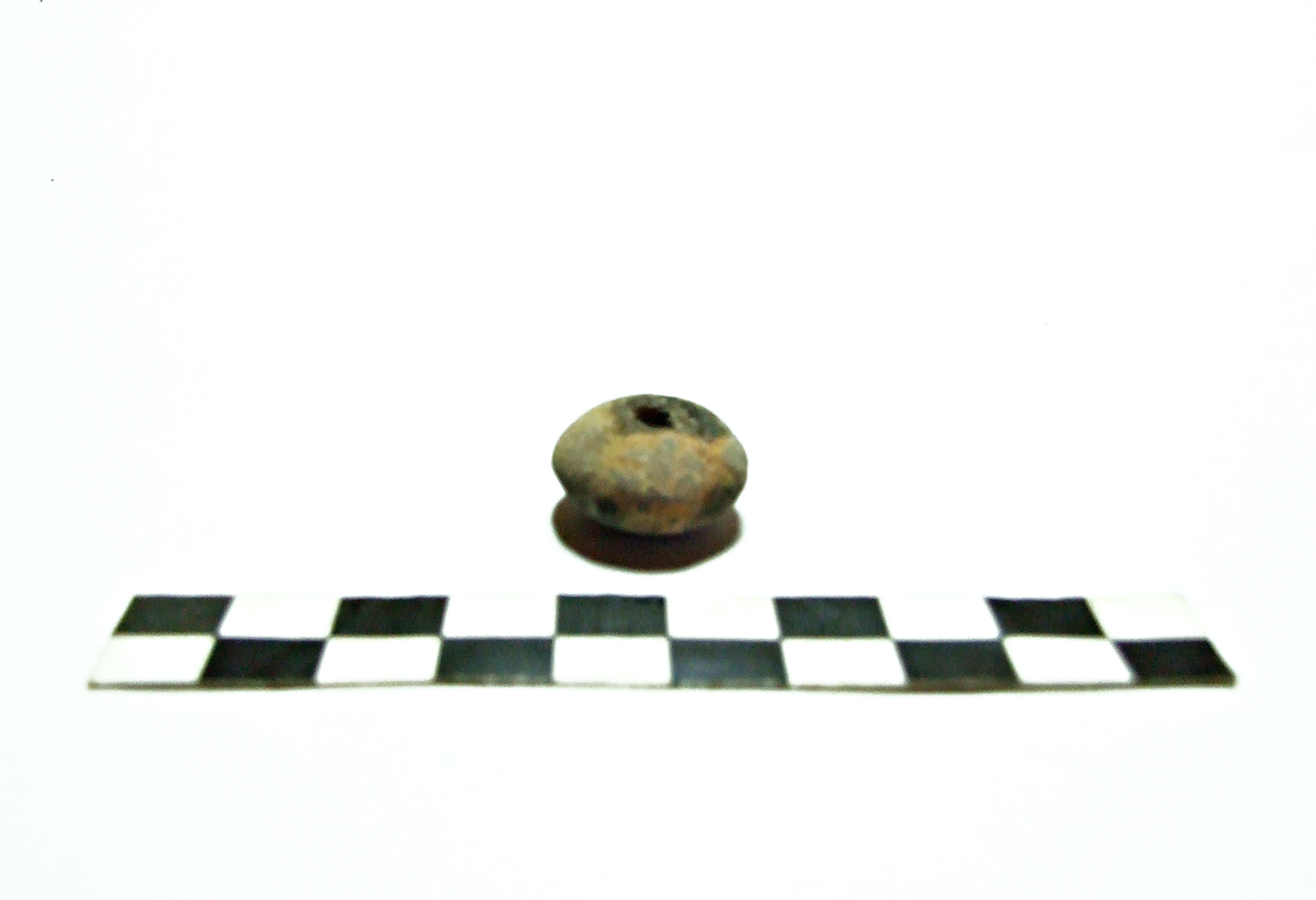 Fuseruola. biconica/ miniaturistica