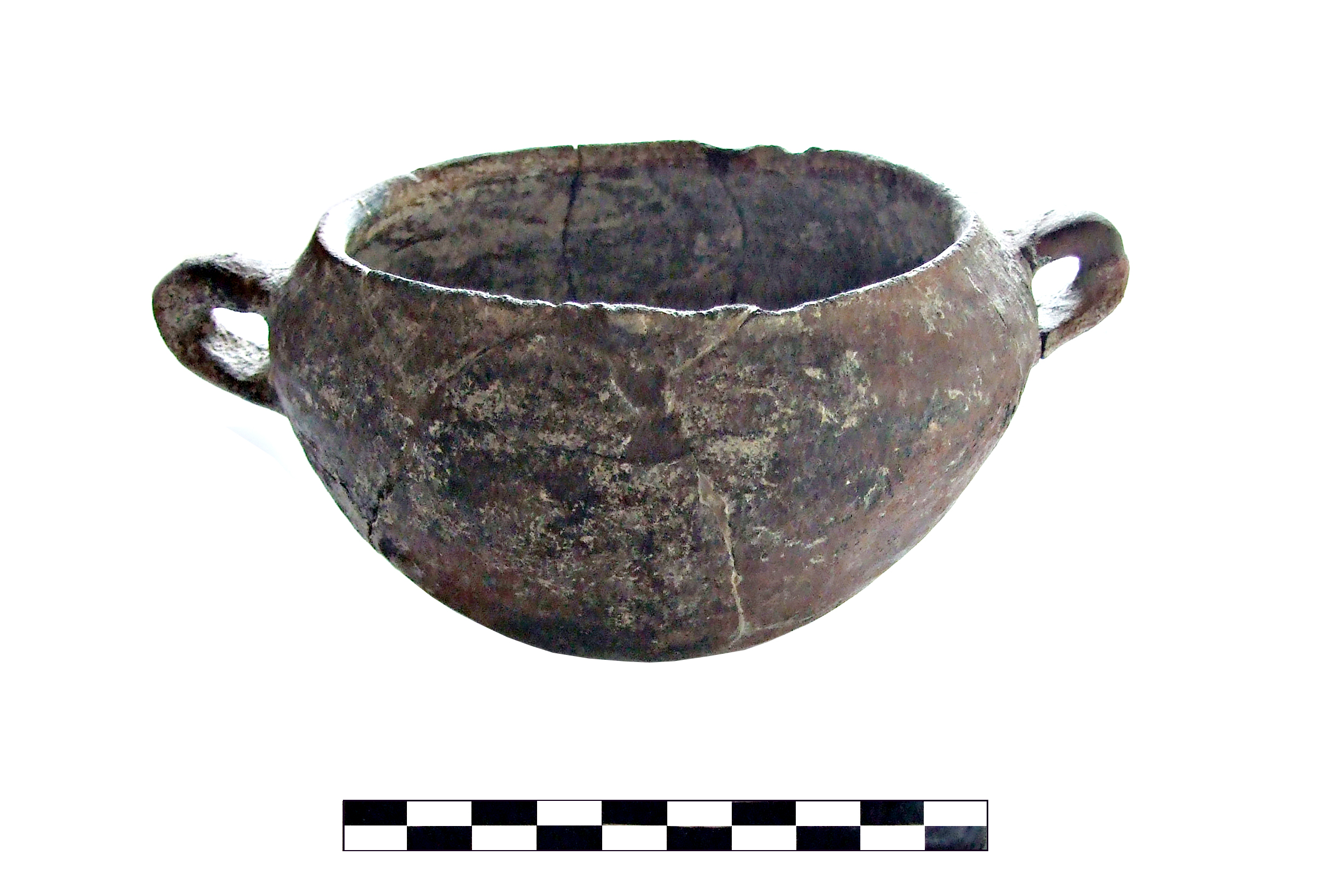 Scodella. ansata