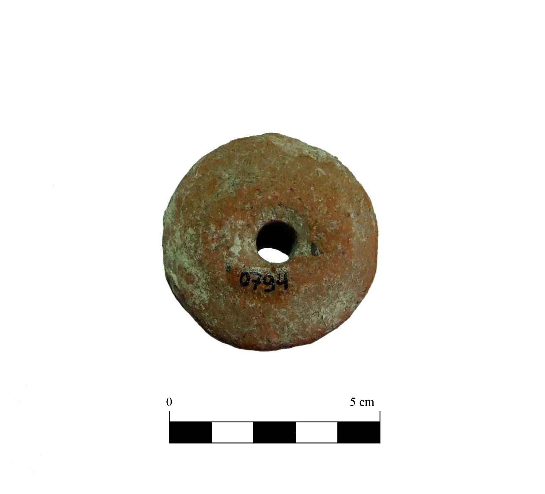Fuseruola. biconica