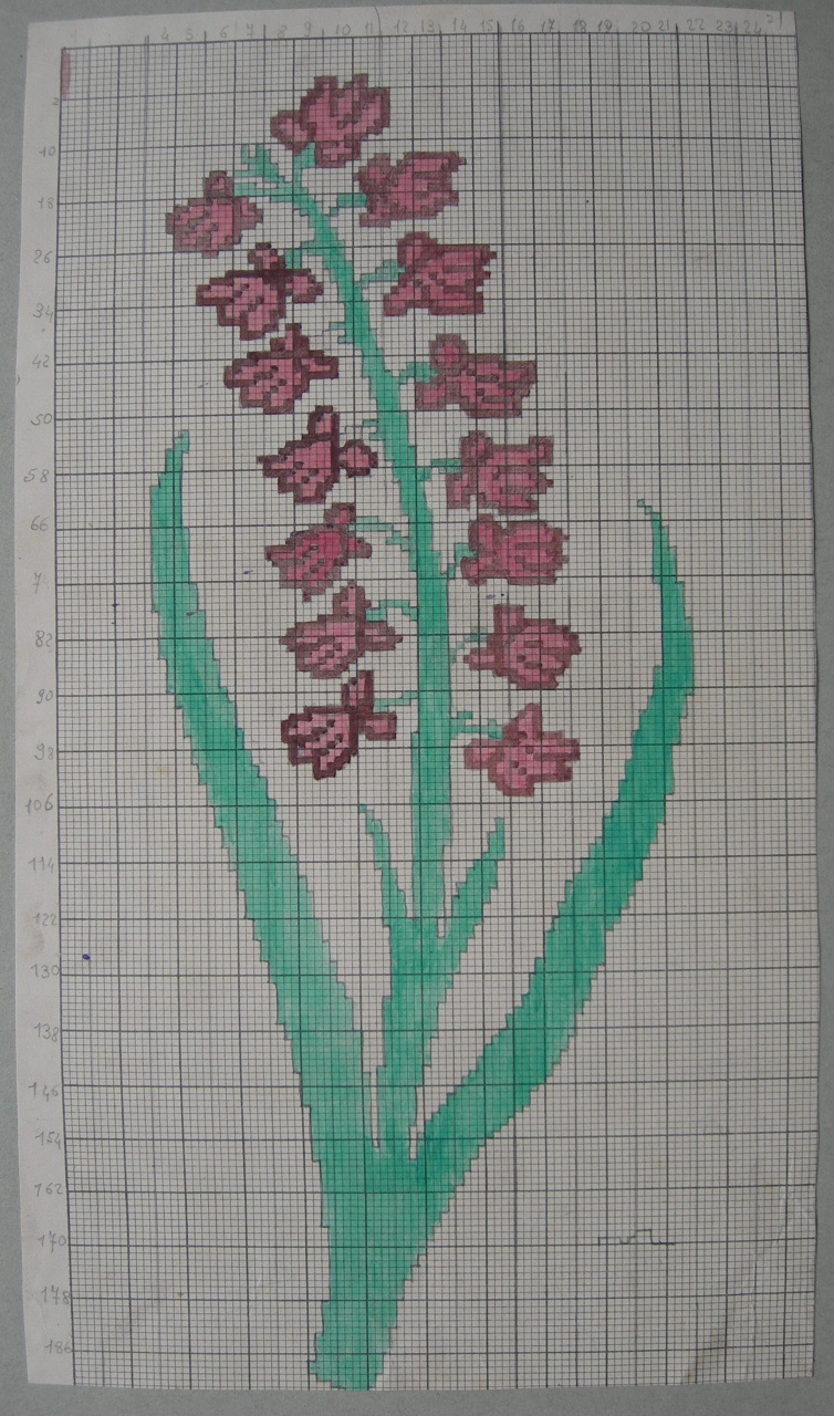 disegno tecnico - ambito fiorentino (sec. XX)