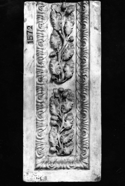 motivi decorativi con ramoscelli di quercia (calco) di Lelli Oronzio (bottega) (ultimo quarto sec. XIX)