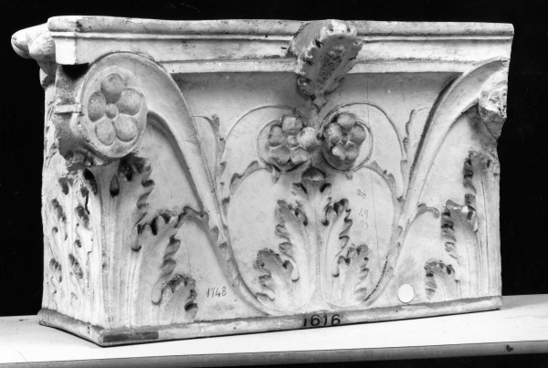 motivi decorativi a foglie d'acanto (calco) di Campi Carlo (bottega) (secc. XIX/ XX)