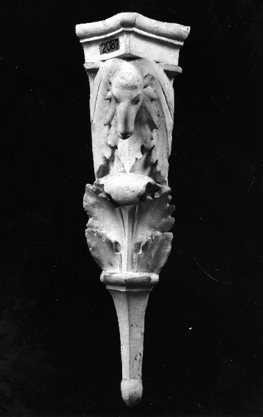 motivi decorativi a grottesche con testa di agnello e foglie di acanto (calco) di Laboratorio Istituto Statale d'Arte (secondo quarto sec. XX)