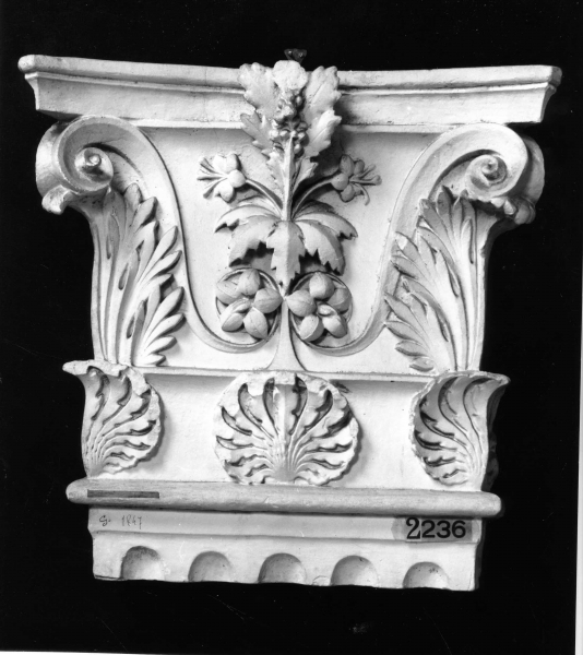 motivi decorativi a foglie d'acanto (calco) di Lelli Oronzio (bottega) (ultimo quarto sec. XIX)