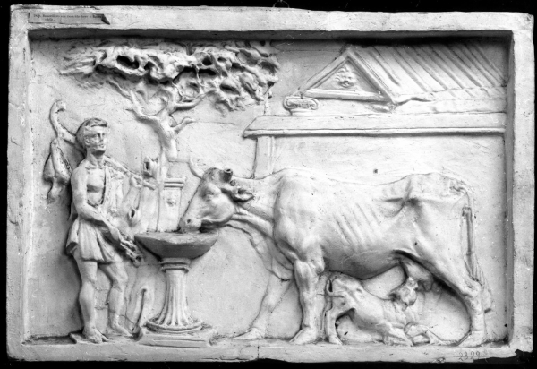 figura maschile con mucca che allatta il vitello (calco) di Gherardi M (bottega) (sec. XIX)