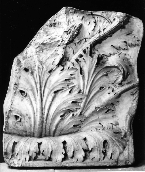 motivi decorativi a foglie d'acanto (calco) di Gherardi M (bottega) (ultimo quarto sec. XIX)