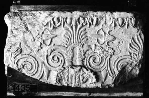 motivi decorativi a girali e foglie stilizzate (calco) di Lelli Oronzio (bottega) (ultimo quarto sec. XIX)