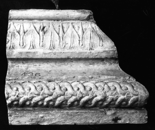 motivi decorativi vegetali stilizzati (calco) di Gherardi M (bottega) (ultimo quarto sec. XIX)