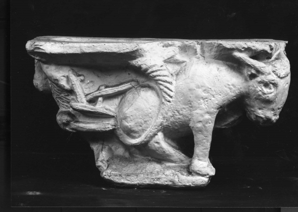 asino (calco) di Laboratorio Istituto Statale d'Arte (sec. XX)