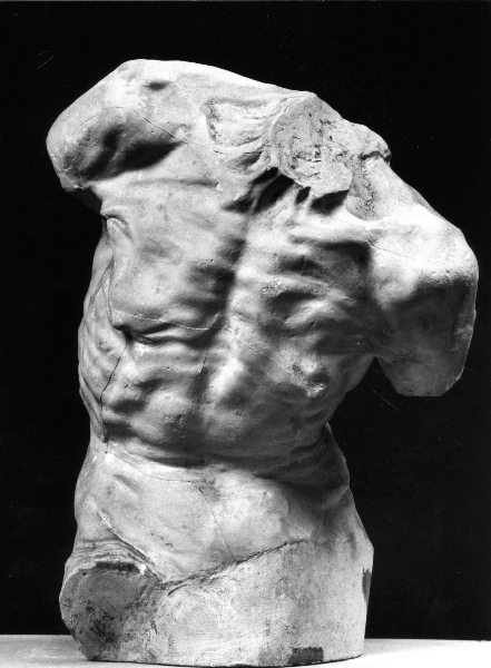 torso maschile (calco) di Lab. Scuola Professionale di Arti Decorative e Industriali di Firenze (ultimo quarto sec. XIX)