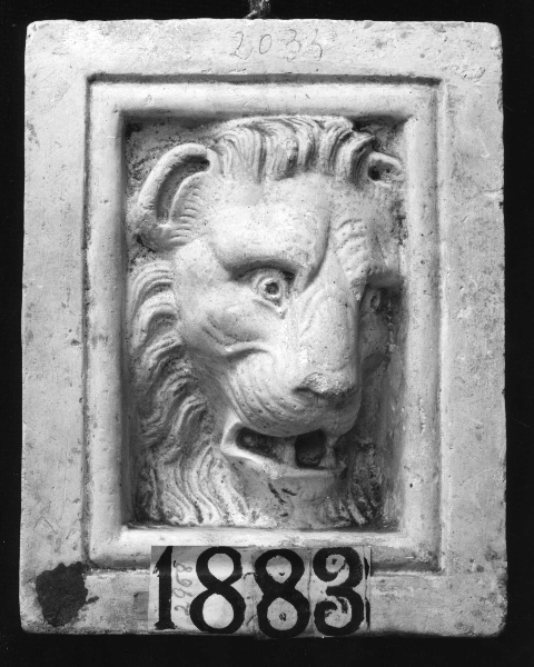 protome con testa di leone (calco) di Lelli Oronzio (ultimo quarto sec. XIX)