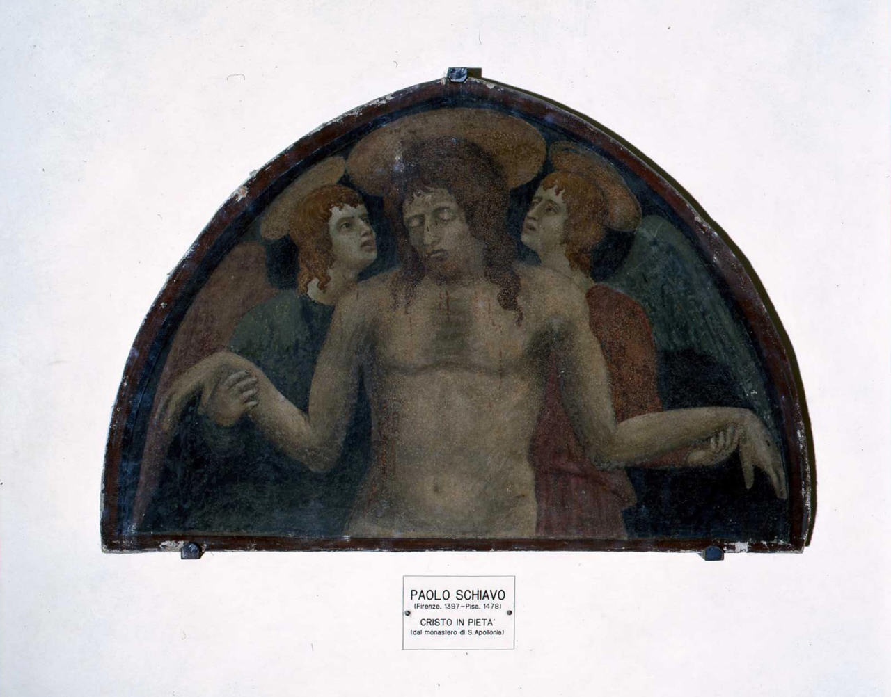 Cristo in pietà e angeli (dipinto) di Badaloni Paolo detto Paolo Schiavo (terzo quarto sec. XV)