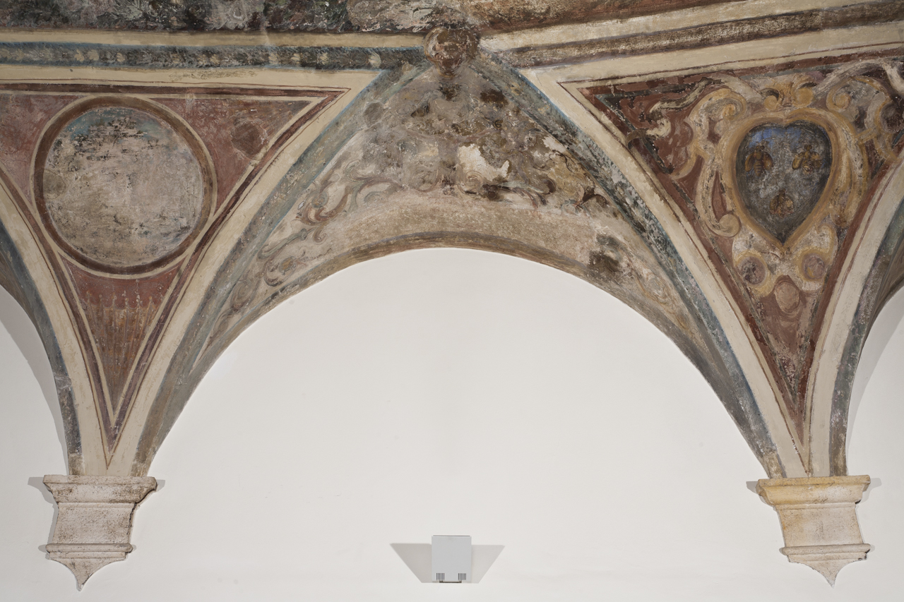 motivi decorativi a grottesche (dipinto, elemento d'insieme) - ambito romano (XVII)