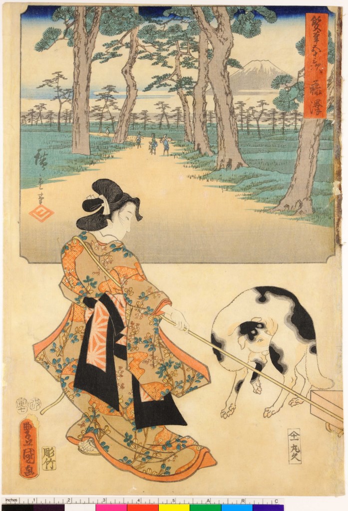 donna con cane e paesaggio nello sfondo (stampa, stampa composita) di Utagawa Toyokuni III, Utagawa Hiroshige I, Hori Take - ambito giapponese (sec. XIX)