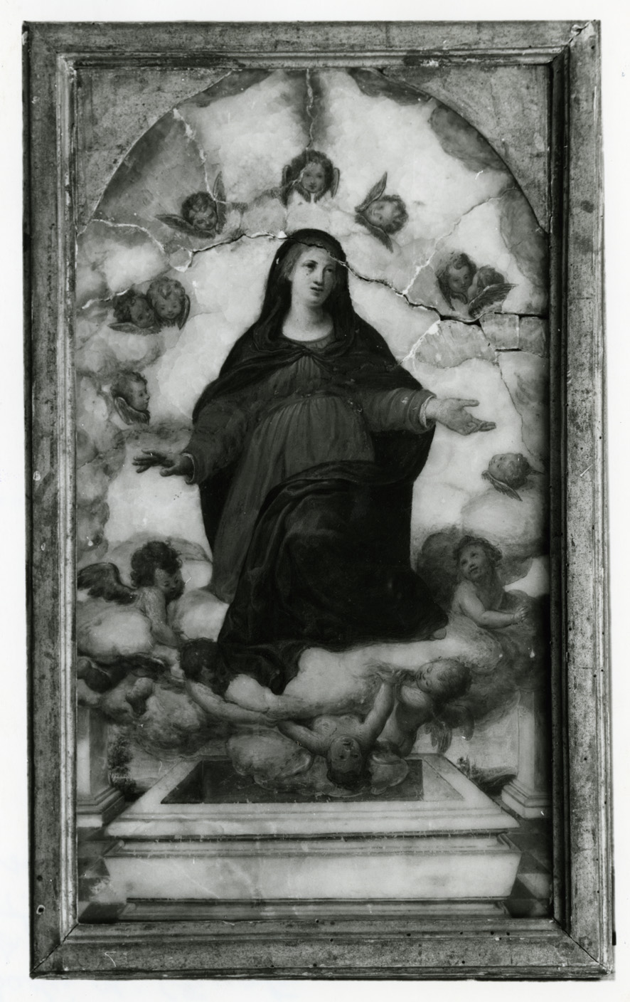 Madonna Assunta (dipinto) di Minardi Tommaso (metà sec. XIX)
