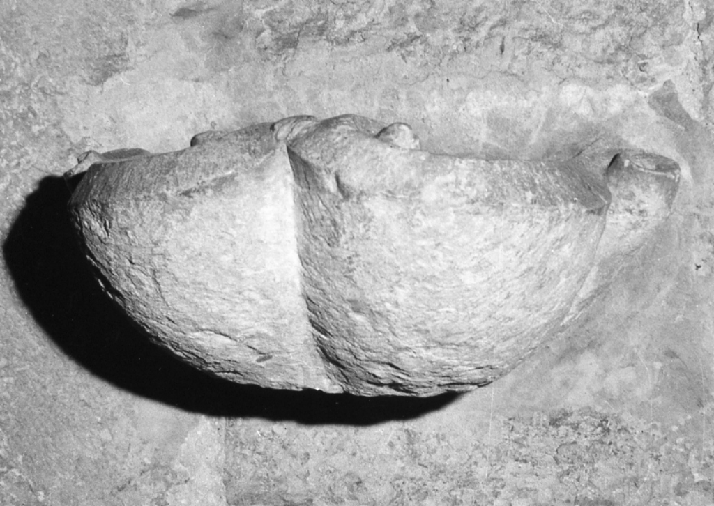 acquasantiera - a conchiglia - ambito laziale (sec. XVI)