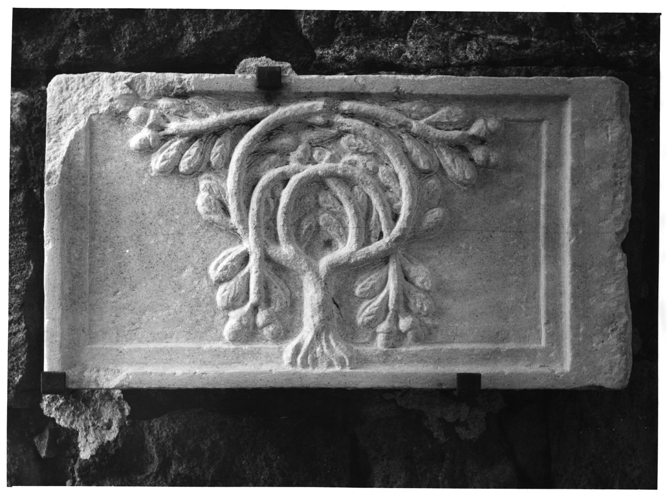 stemma (rilievo) - ambito viterbese (sec. XVI)
