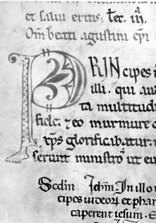 Iniziale "P" (miniatura, serie) - ambito laziale (sec. XII)