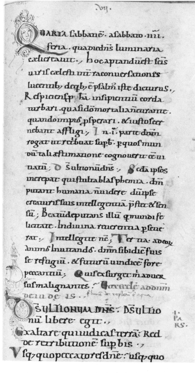 Iniziale "C" (miniatura, serie) - ambito laziale (sec. XIII)