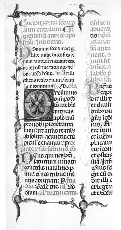 Iniziali "Q" (miniatura, serie) - ambito laziale (sec. XV)