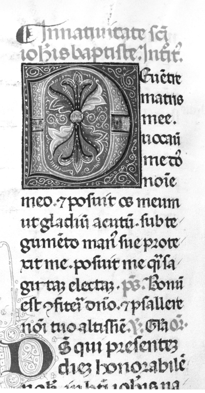 Iniziale "D" (miniatura, serie) - ambito laziale (sec. XV)