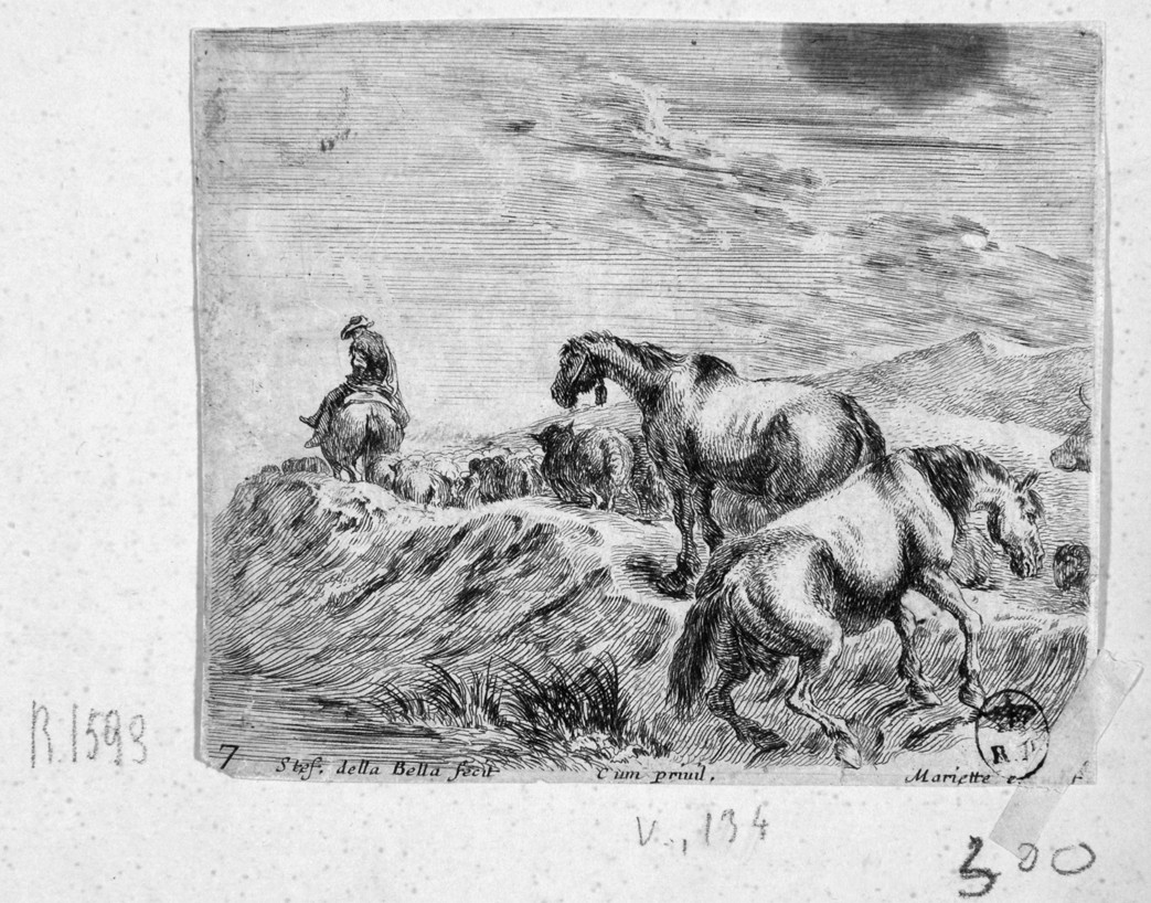 cavalli al pascolo (stampa smarginata, serie) di Della Bella Stefano (sec. XVII)