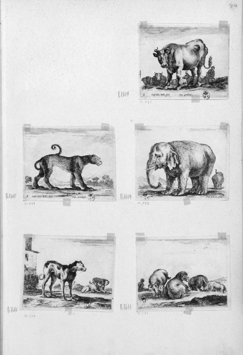animali (stampa, serie) di Della Bella Stefano (sec. XVII)