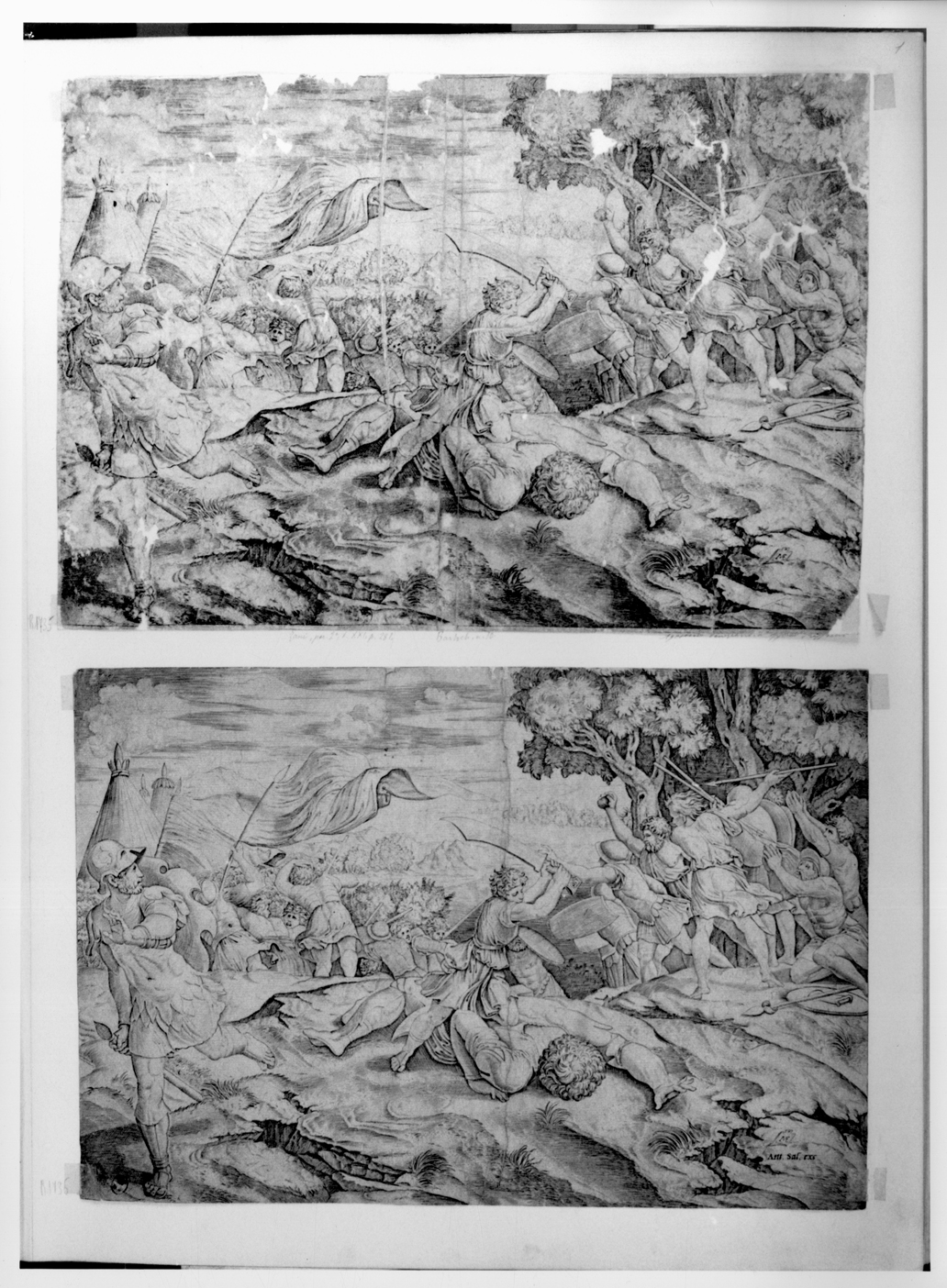 David decapita Golia (stampa smarginata) di Sanzio Raffaello (attribuito), Raimondi Marcantonio, De Musi Agostino (sec. XVI)