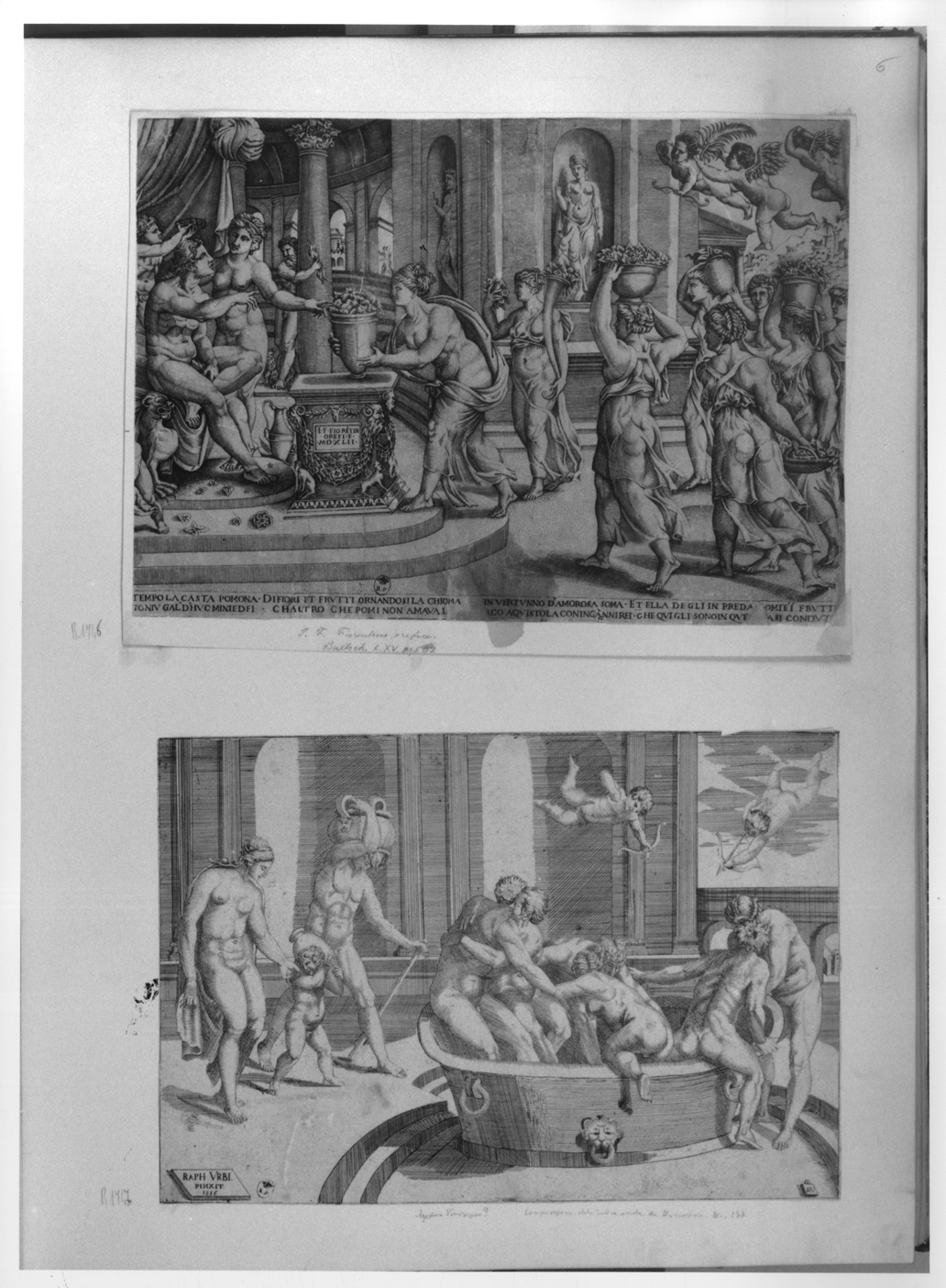 nozze di Vertumno e Pomona (stampa smarginata/ tagliata) di Monogrammista IF FIORETIN (sec. XVI)