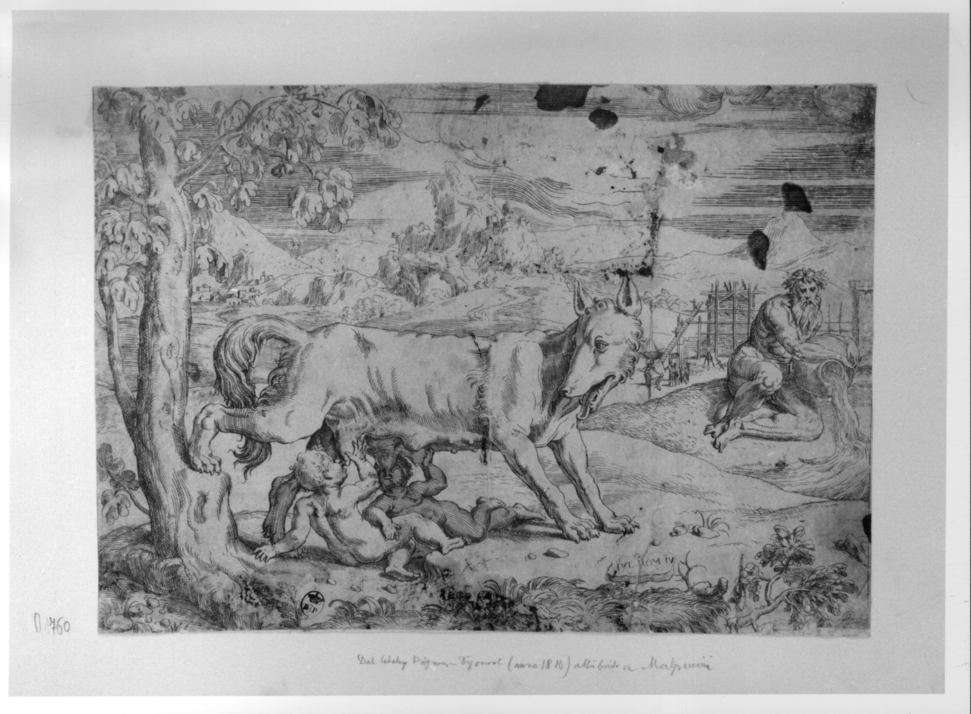 Romolo e Remo allattati dalla lupa (stampa smarginata) di Malpizzi Bernardino (attribuito), Pippi Giulio detto Giulio Romano (secc. XVI/ XVII)