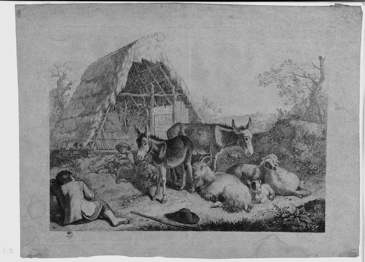 Due asini, una capra, pecore e due pastorelle, pastorelli a riposo con asini, pecore e capre (stampa) di Londonio Francesco (sec. XVIII)