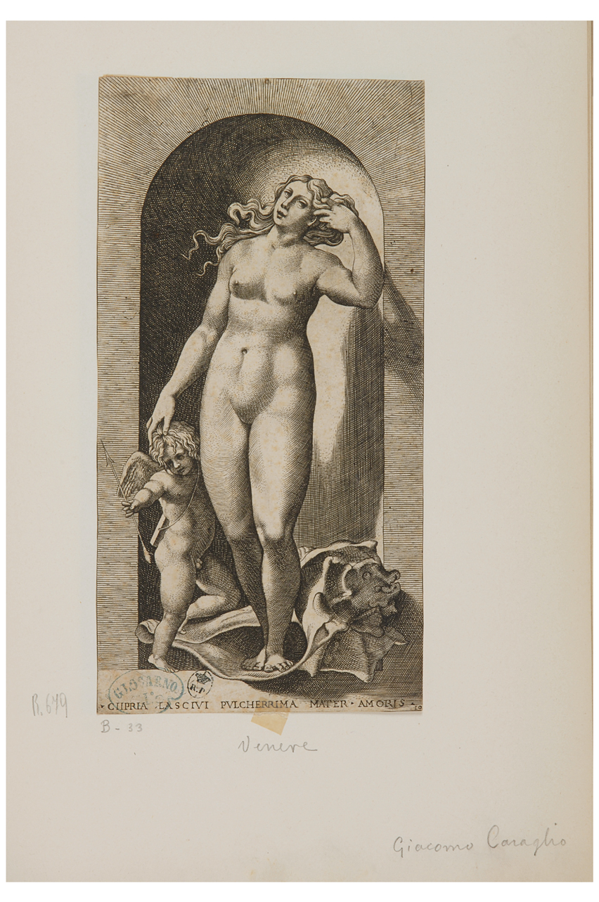 Ciipria lascivi pulcherrima mater amoris, Venere e Amore (stampa smarginata, serie) di Caraglio Gian Giacomo, di Jacopo Giovan Battista detto Rosso Fiorentino (seconda metà sec. XVI)
