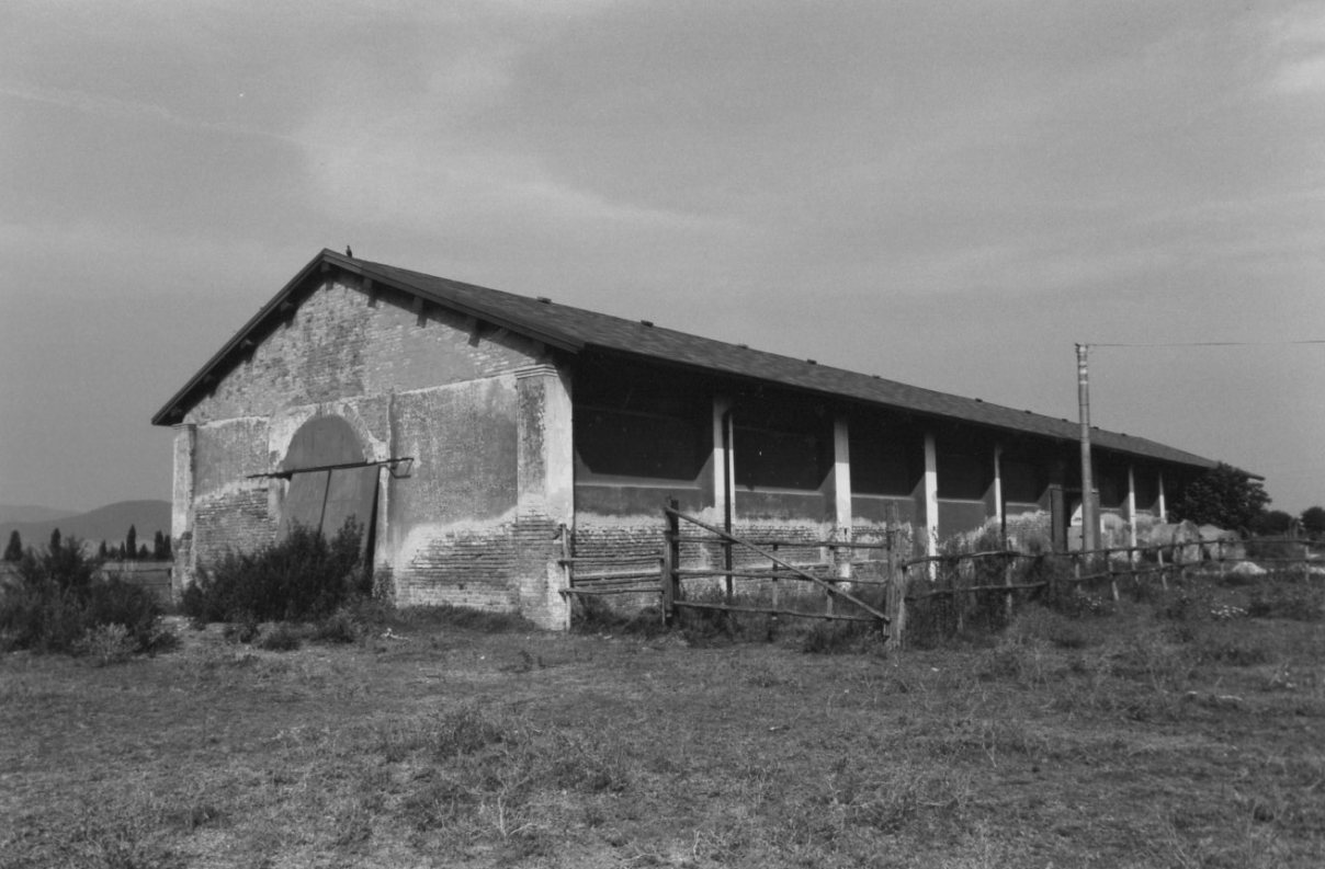 CENTRO ALLEVAMENTO QUADRUPEDI - SCUDERIE (scuderie) - Grosseto (GR) 