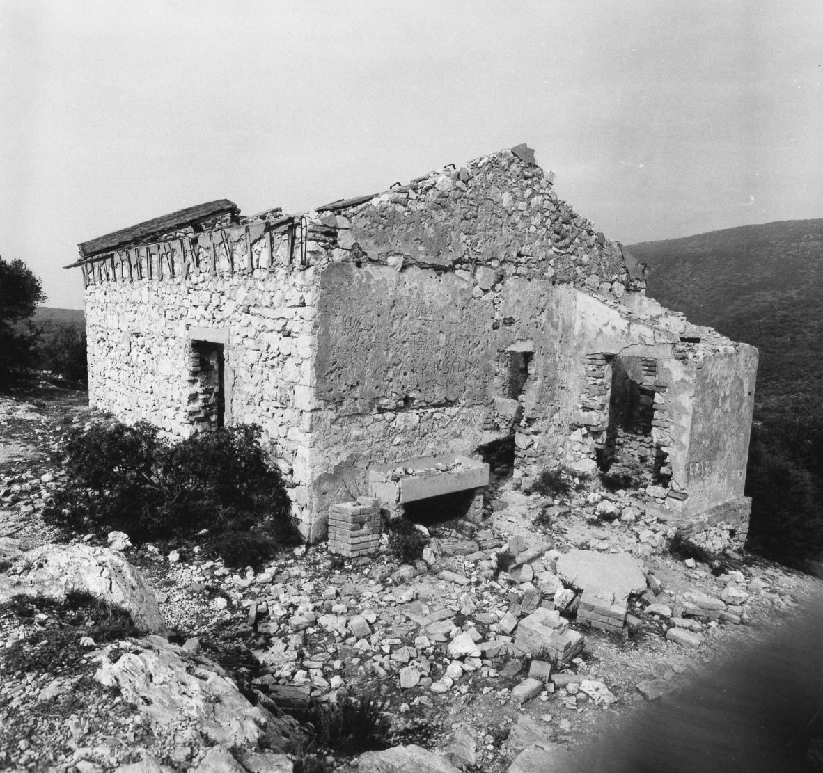 TORRE DI CASTEL MARINO (torre, costiera) - Grosseto (GR) 