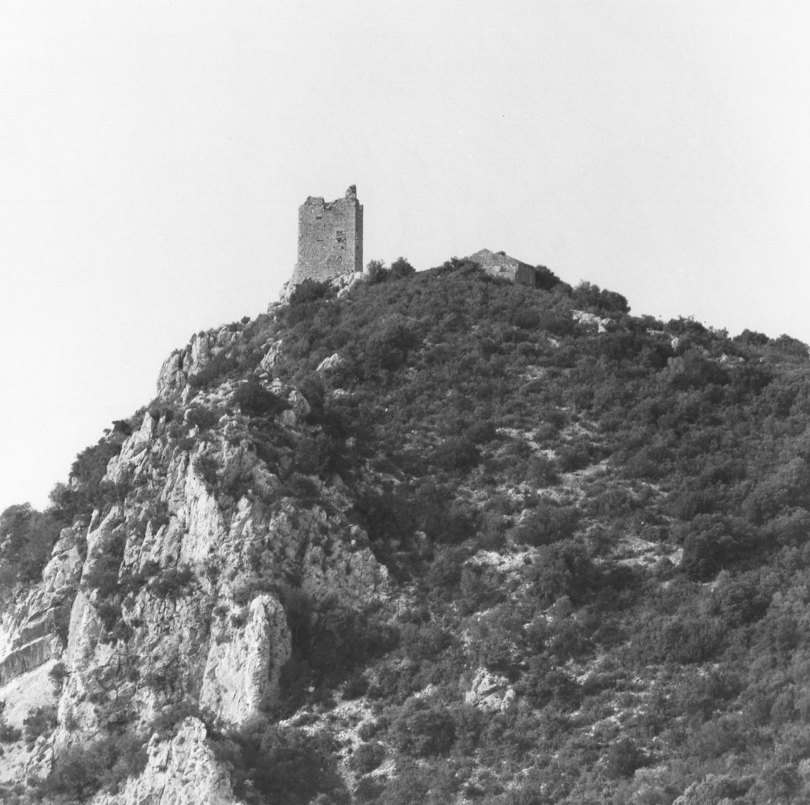 TORRE DI CASTEL MARINO (torre, costiera) - Grosseto (GR) 