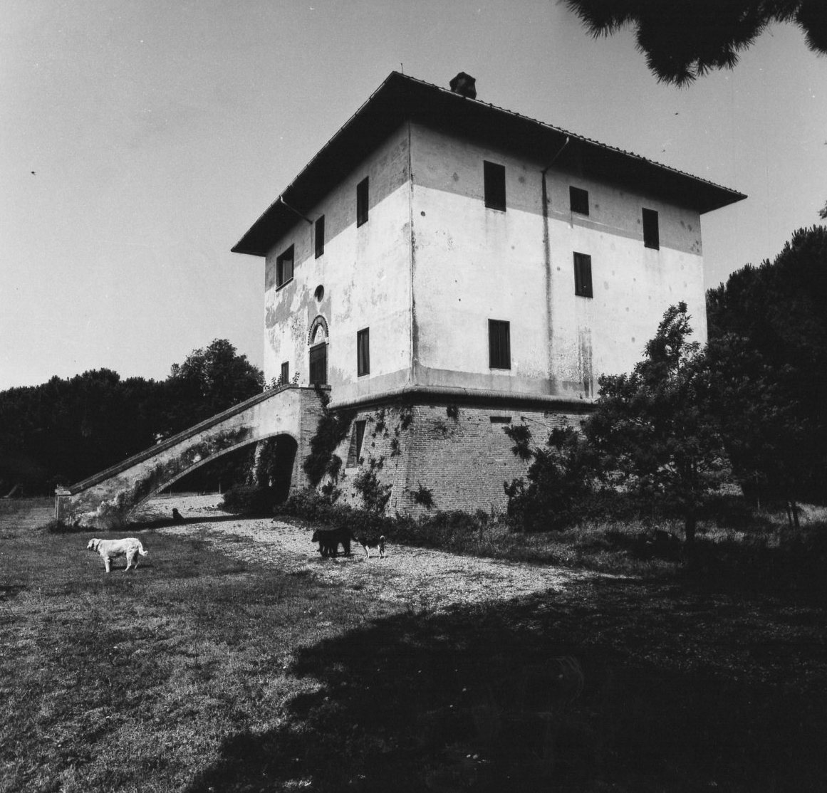 TORRE DELLA TRAPPOLA (torre, difensiva) - Grosseto (GR) 
