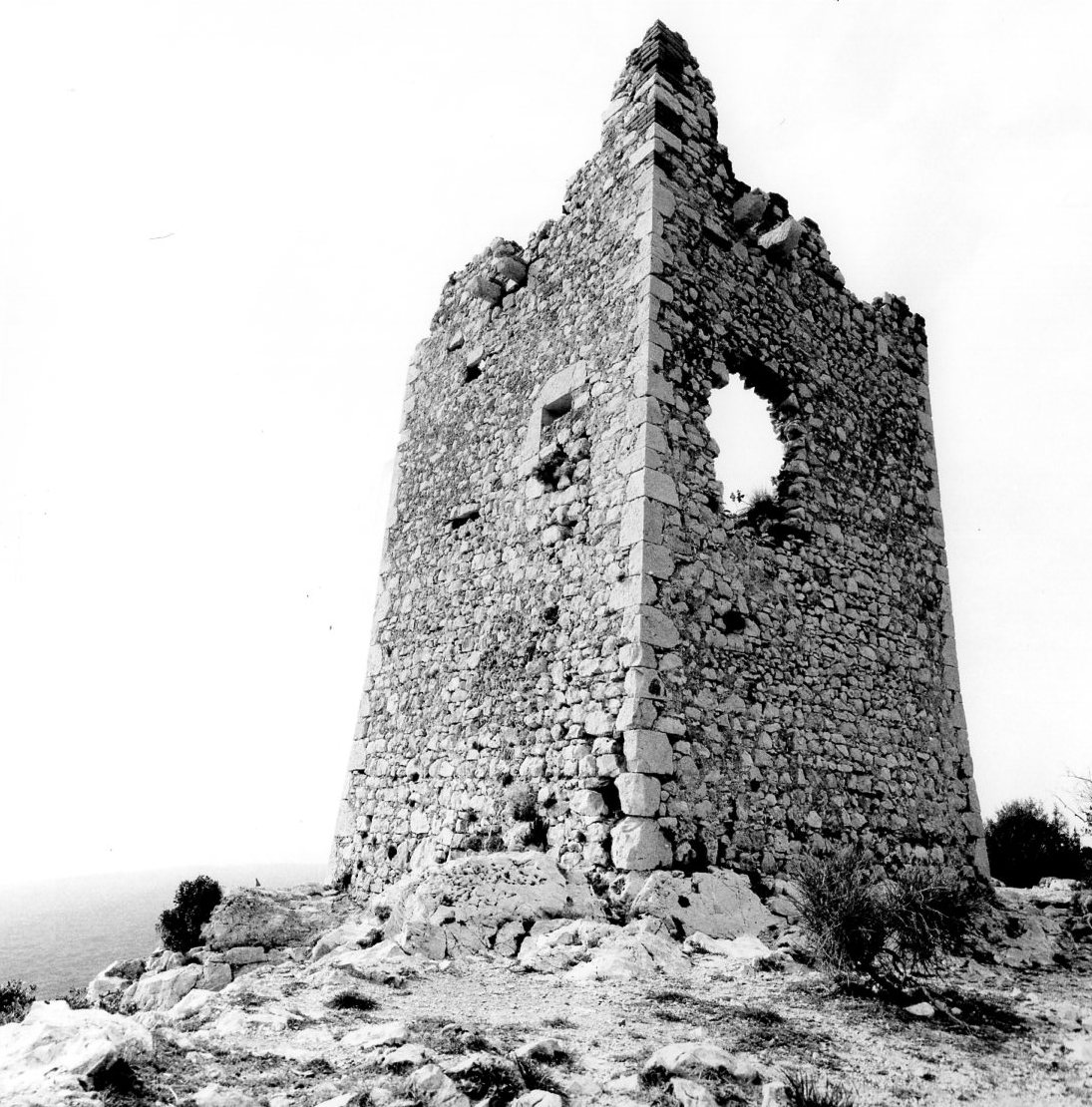 TORRE DI CASTEL MARINO (torre, costiera) - Grosseto (GR) 