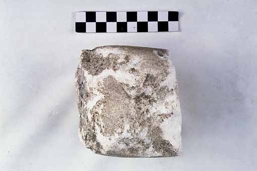 TESTA - produzione daunia (sec. VII a.C)