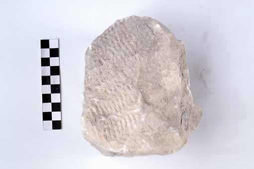 STELE/frammento - produzione daunia (sec. VII a.C)