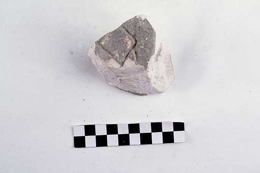 STELE/frammento - produzione daunia (secc. VII/ V a.C)